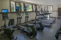 奇姆尼山丘--威爾明頓（佛蒙特）/斯諾山林間度假屋 - 健身室/gym room