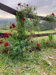 Chalé Sol da Invernadinha - Rancho Queimado/SC