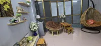alley homestay Lieu Giai - Pensionat