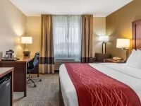 Comfort Inn Hotels near Great Falls International Airport