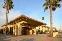 Best Western Plus Executive Inn  Suites - Gym
