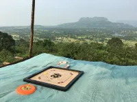 Canary Forest Camping