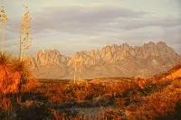 Billy the Kids getaway in heart of Historical Mesilla Plaza, N.M. -  Appartamenti vacanze