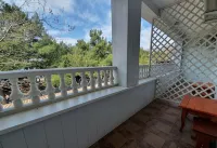 Black Wood Guest House - موقف سيارات