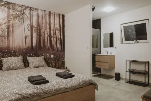City rock: bright new 2bed/2bath downtown apartment - Daireler