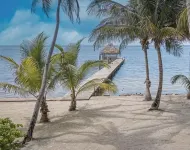 Ocean Front Private Villa with Pool - Villas