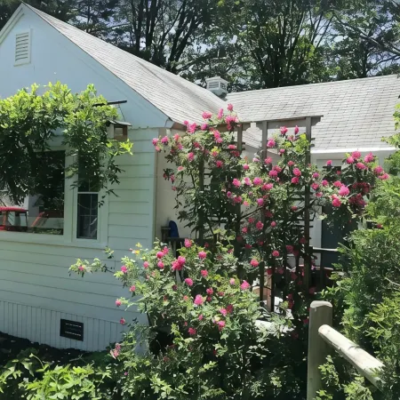 Awesome location downtown. Walk to the beach, marginal way