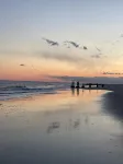 Cape May Bungalow - Iconic Washington St - Bike to Beach - ブティック