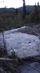 Unplug at this Mt. Baker Cabin in the Hot Tub, enjoy massage chair & rain shower - Wifi