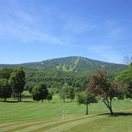 Beautiful Stratton Mountain Condo
