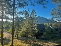 Tranquil Retreat In the Pines w/Mountain Views! Updated 1 Bed 1 Bath - balcony
