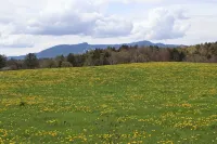 Cozy Ski House in Stowe, 5 min to village, perfect for family/friends getaway - 3-نجوم