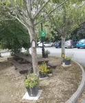 Tara View Apartments - 3-Star
