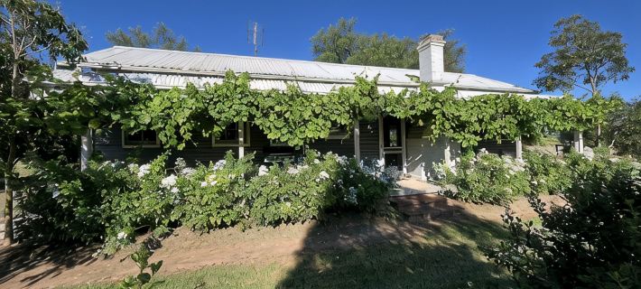 Chaffcutters Cottage - Pet friendly cottage in idyllic rural setting. Hotels in Cowra