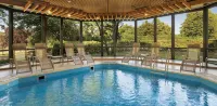 Bilderberg Bellevue Hotel Dresden - Pools