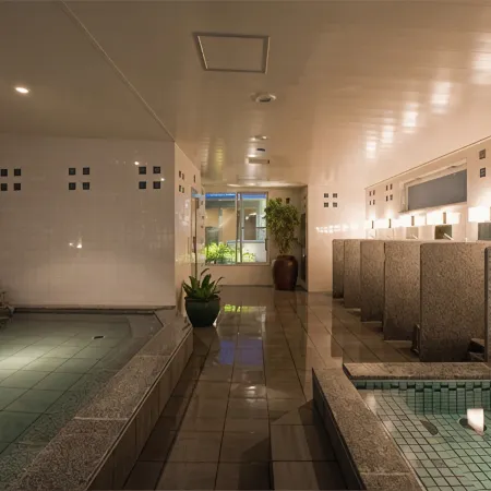 Tottori Green Hotel Morris