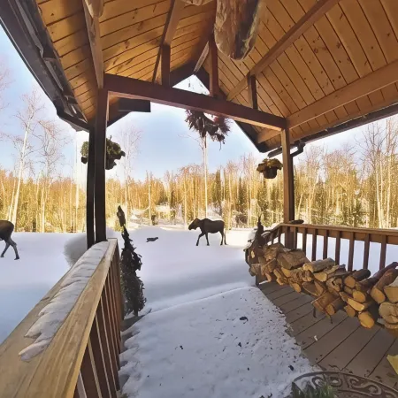6-bedroom Lakefront Lodge on 10 acres w/wifi only 13 miles to downtown Talkeetna