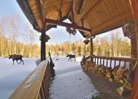 6-bedroom Lakefront Lodge on 10 acres w/wifi only 13 miles to downtown Talkeetna - Alphydda
