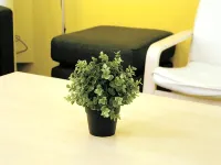Seoul Dalbit Dongdaemun Guesthouse - Hostels