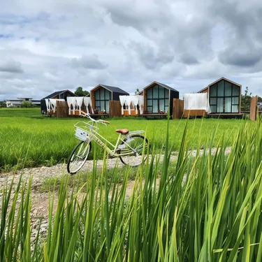 รูปภาพของเดอะฟิลด์แอทปัว The Field Pua