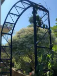 Akim Homestay Hotels in Kohima