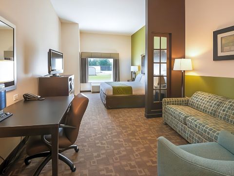 Comfort Suites Lake City