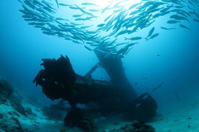 その他 アンサナ イフル モルディブの写真