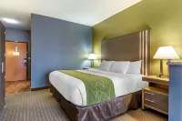Comfort Suites Southgate-Detroit
