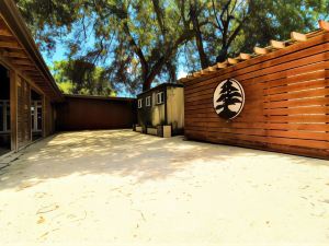 Find Peace - Bird Tiny House in Japanese Garden