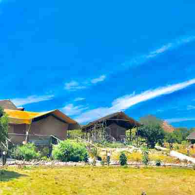 Eco Mara Tented Camp Hotel Exterior