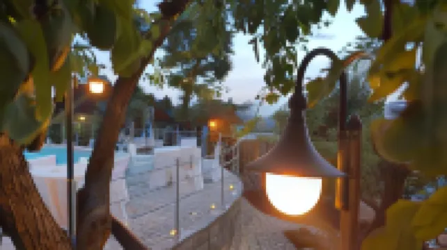 Antica Trattoria Bacco H&W