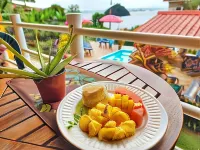 Cerrito Tropical Eco Lodge Hotels in Taboga