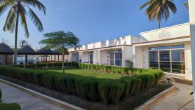 Mafia Dream hotel