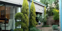 Primavera Guest House