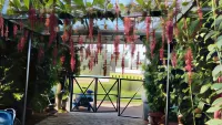 Cholai Resorts & Hotels Hotels near Grange TreeTop Adventure