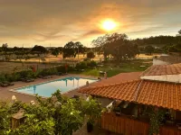 Hotel Boavista - Vintage House - Pools