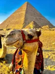 Khufu 9 Pyramids View Hotel