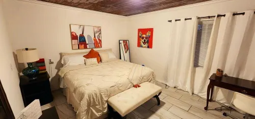 Charming 2- bedroom house in Tampa with a pool, WiFi & 5 mins from Bush Gardens