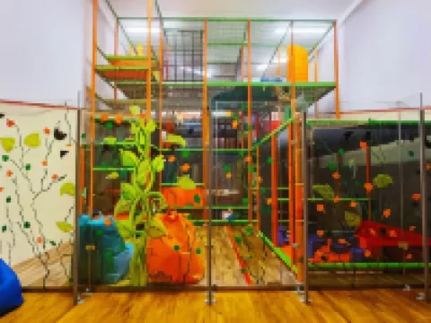 西爾瓦努斯健康會議酒店 維謝格拉德酒店