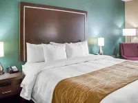 Comfort Inn & Suites San Marcos Hotels in San Marcos