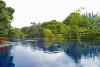Oak Ray Ella Gap Hotel - Pools