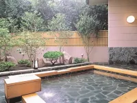 Hotel Shiraiwa - Hot Springs