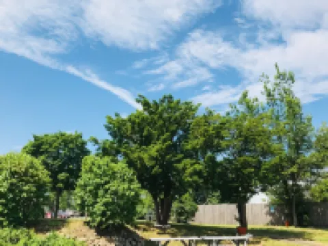 Wells Moody Motel Hotels in Wells