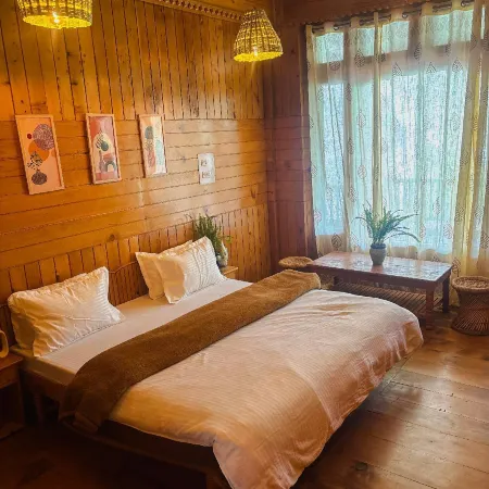 The Woods - Tirthan Valley