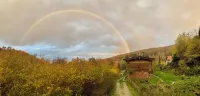 Odenwald Getaway: Quiet Vacation Rental in a Wooden House on the Edge of the Forest - Homestays