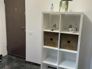 Amira 2