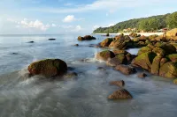 Sun Shine Homestay