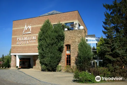 Premium Wellness & Wine Hotel Znojmo