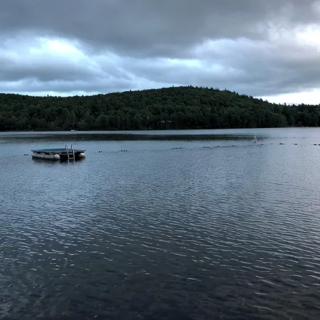 Berkshires' best! Tanglewood, Jacob's Pillow and 400 feet from a pristine lake Отели в г. Ли