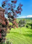 Mountain View Cabin - balcony